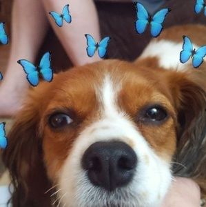 Meet your Posher, Calista